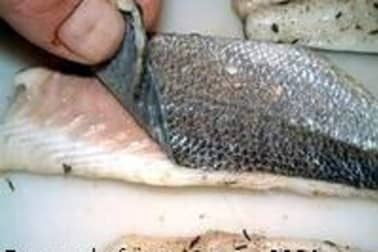 Filets de daurade - Etape 6