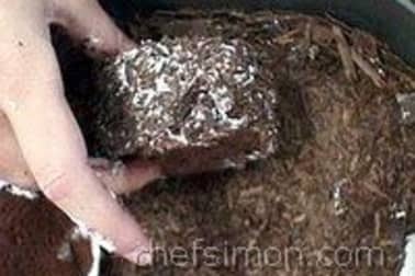 Forêt Noire individuelle - Etape 10