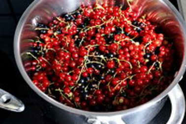 Sorbet groseilles cassis - Etape 1