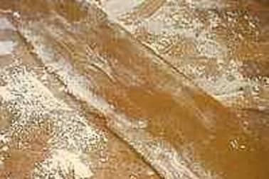 Spéculoos - Etape 9