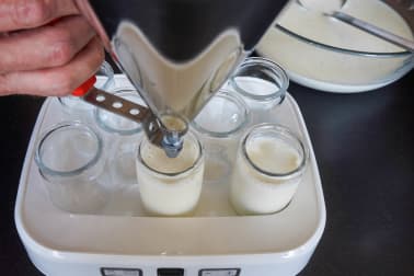 Yaourts au lait entier - Etape 4