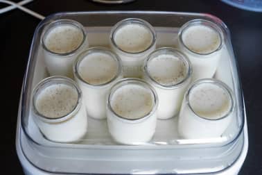 Yaourts au lait entier - Etape 6