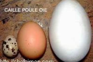 Oeufs à la poêle - Etape 8