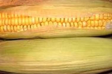 Maïs poché ou grillé - Etape 1