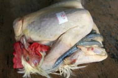 Poulet de Bresse rôti en papillote - Etape 1