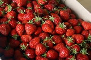 Confiture de fraises - Etape 1