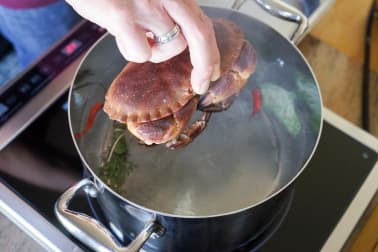 Cuisson du tourteau - Etape 3