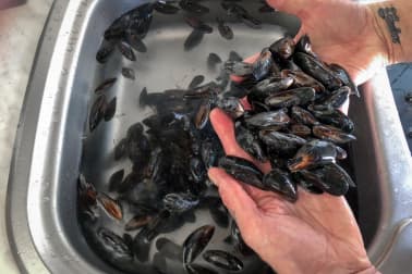 Préparer les moules - Etape 5