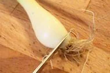 Echalotes fraîches étuvées - Etape 1