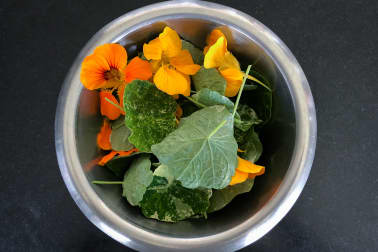 La capucine - Etape 1