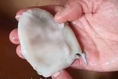 Préparation du poulpe - Etape 5