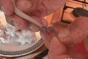 Préparation du poulpe - Etape 9