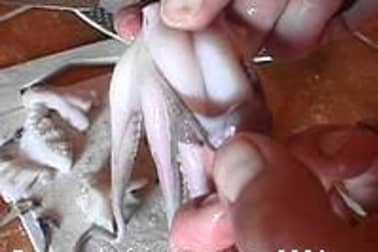 Préparation du poulpe - Etape 8