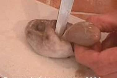 Préparation du poulpe - Etape 4