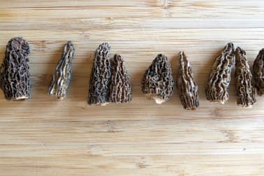 Ris de veau aux morilles - Etape 2