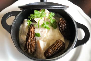 Fricassée de ris de veau aux morilles - Etape 7