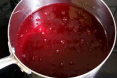 Sorbet groseilles cassis - Etape 8