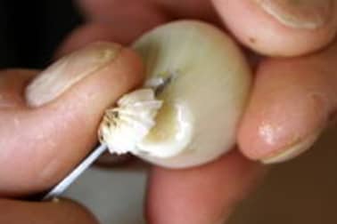 Eplucher les oignons grelots - Etape 1