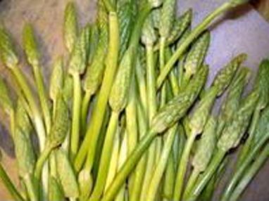 Asperge des bois ou aspergette - Etape 1