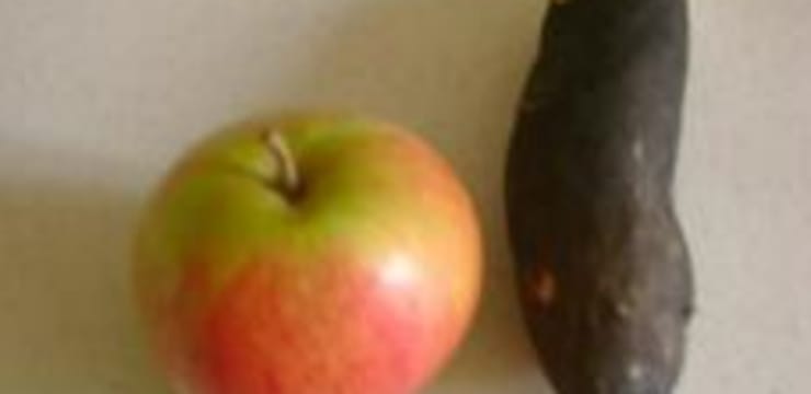 Salade De Radis Noir Et Sa Sauce Yaourt Recette Par Certi Ferme