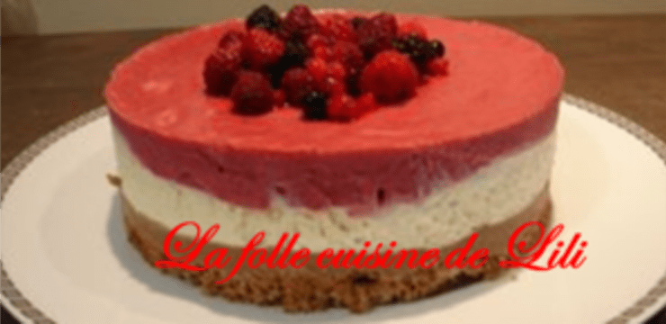 Gateau Au Chocolat Blanc Fruits Rouges Croustillant Au Praline Et Biscuit Speculoos Recette Par Celine