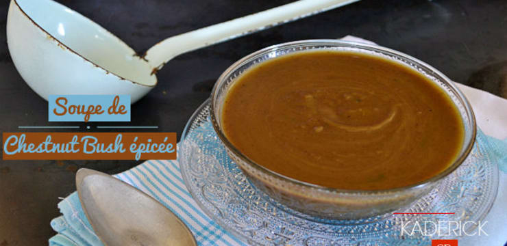 Soupe De Potimarron Chestnut Bush Bio Epicee Recette Par Kaderick