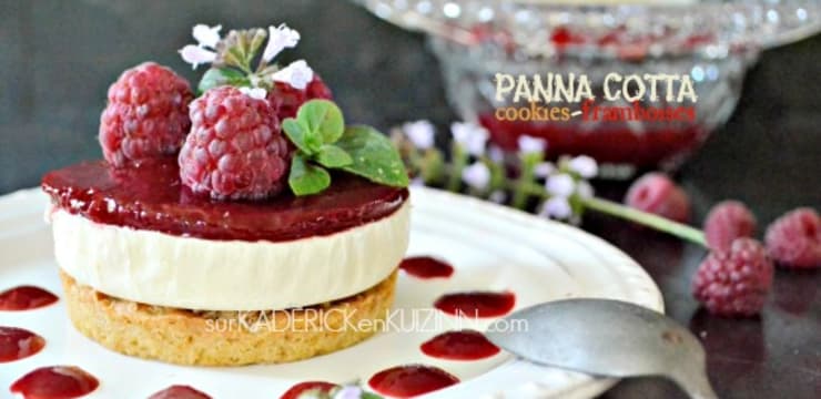 Panna Cotta Noix De Coco Sur Cookies Et Framboise Recette Par Kaderick