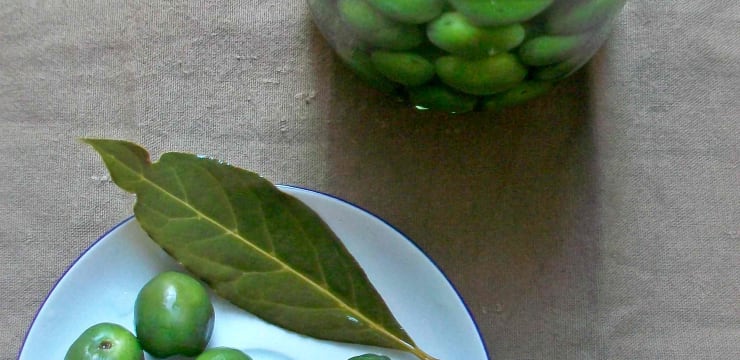 Olives En Bocal A La Saumure A Servir En Antipasti Recette Par L Italie Dans Ma Cuisine