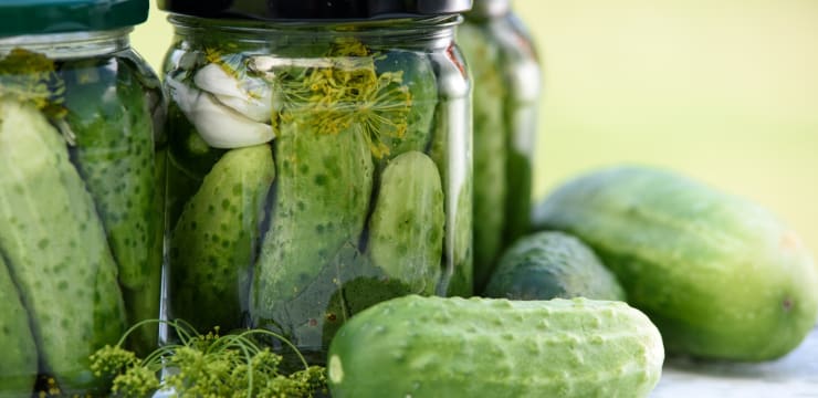 Cornichons aigre-doux en saumure au vinaigre - Recette par Renards Gourmets