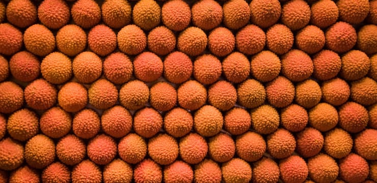 Recettes De Litchi Et De Gateau Recettes De Litchi Et De Gateau