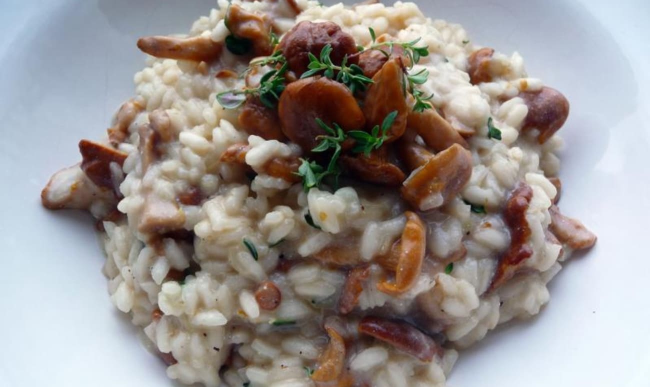 Risotto aux chanterelles