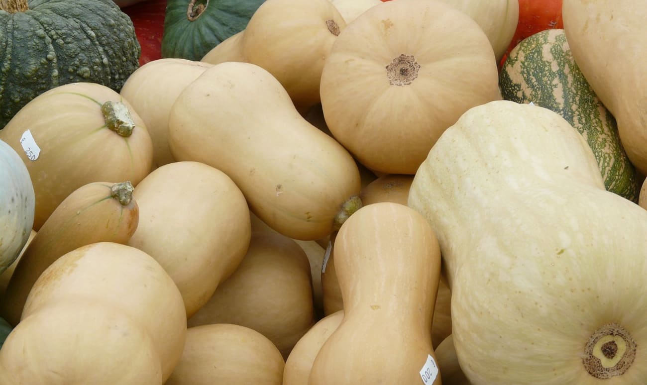 Plusieurs sortes de courges musquées sur un étal de marché