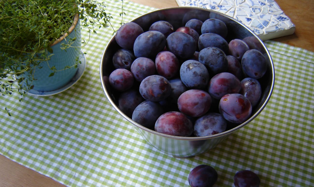 Bol de prunes violettes