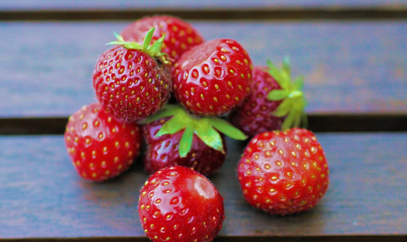 Fraises des bois