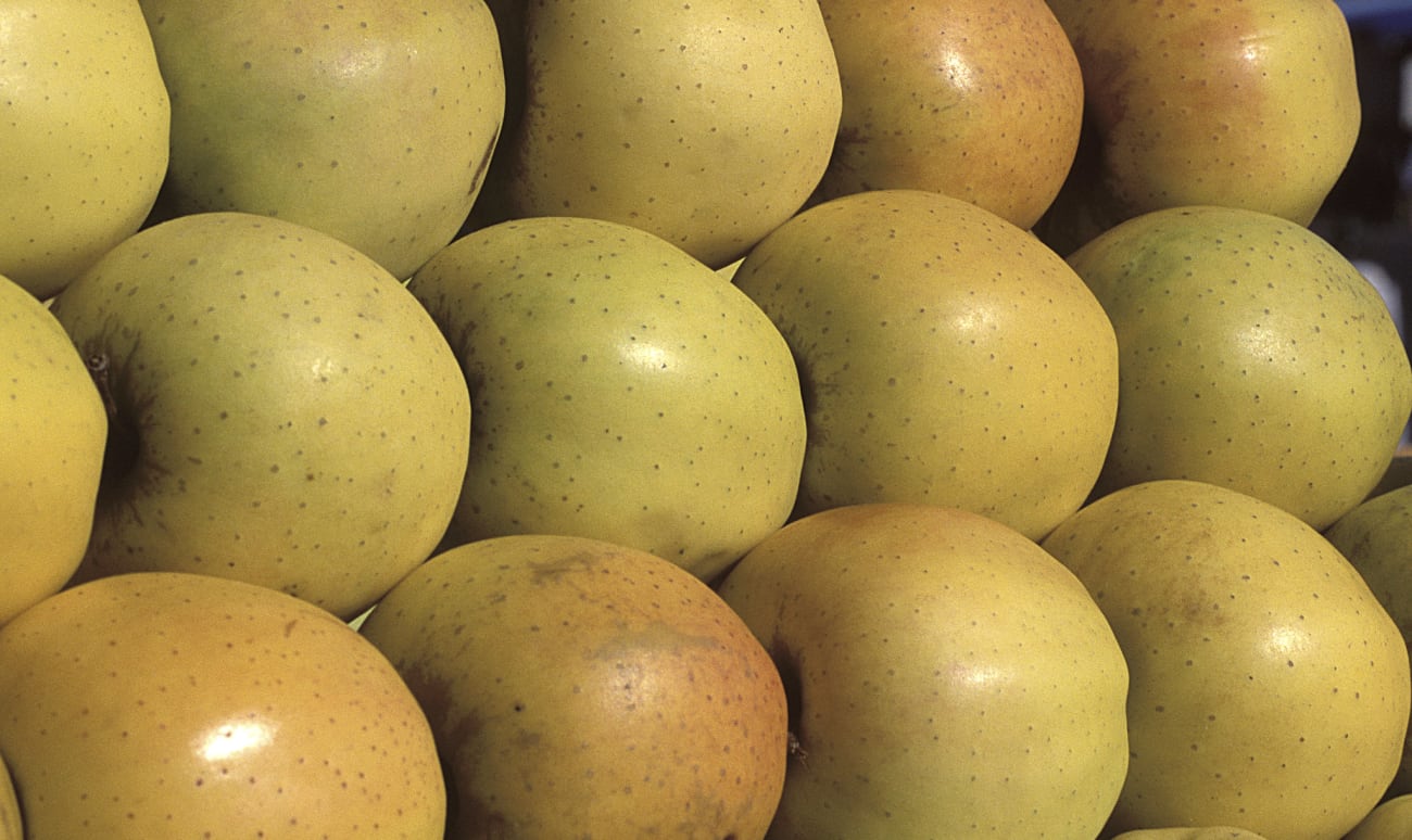 Pommes golden sur un étal