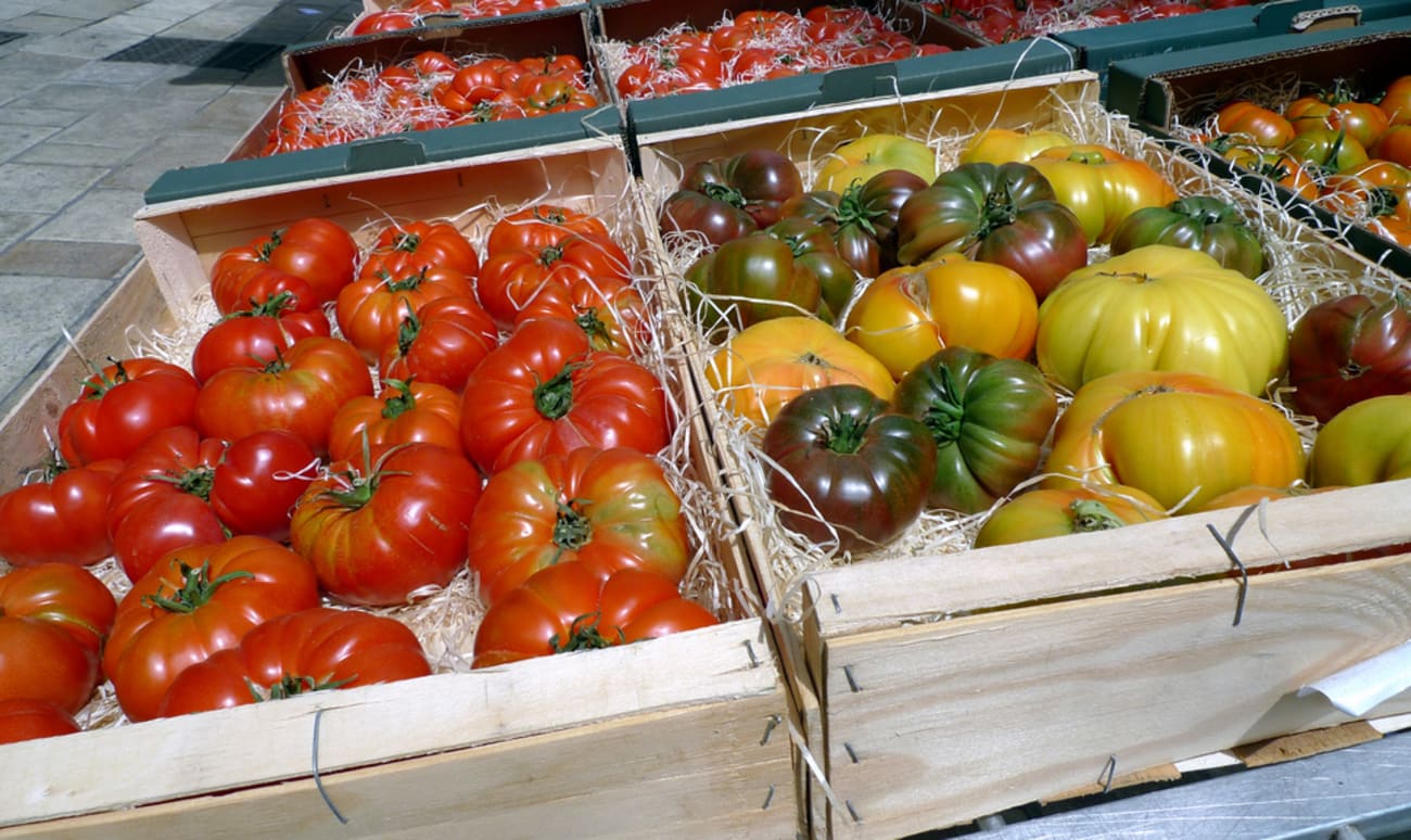 Assortiment de tomates en cageots