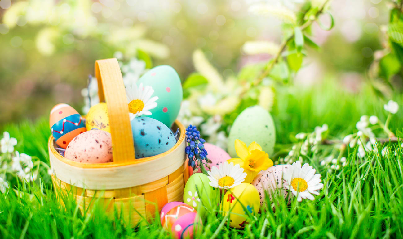 Oeufs de Pâques cachés au jardin