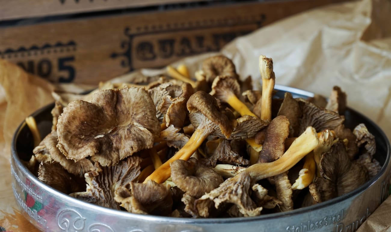 Chanterelles dans un plateau