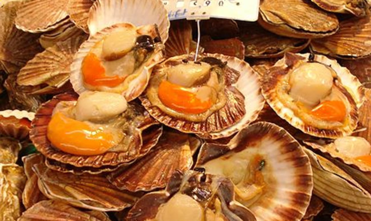 Coquilles Saint-Jacques de noël