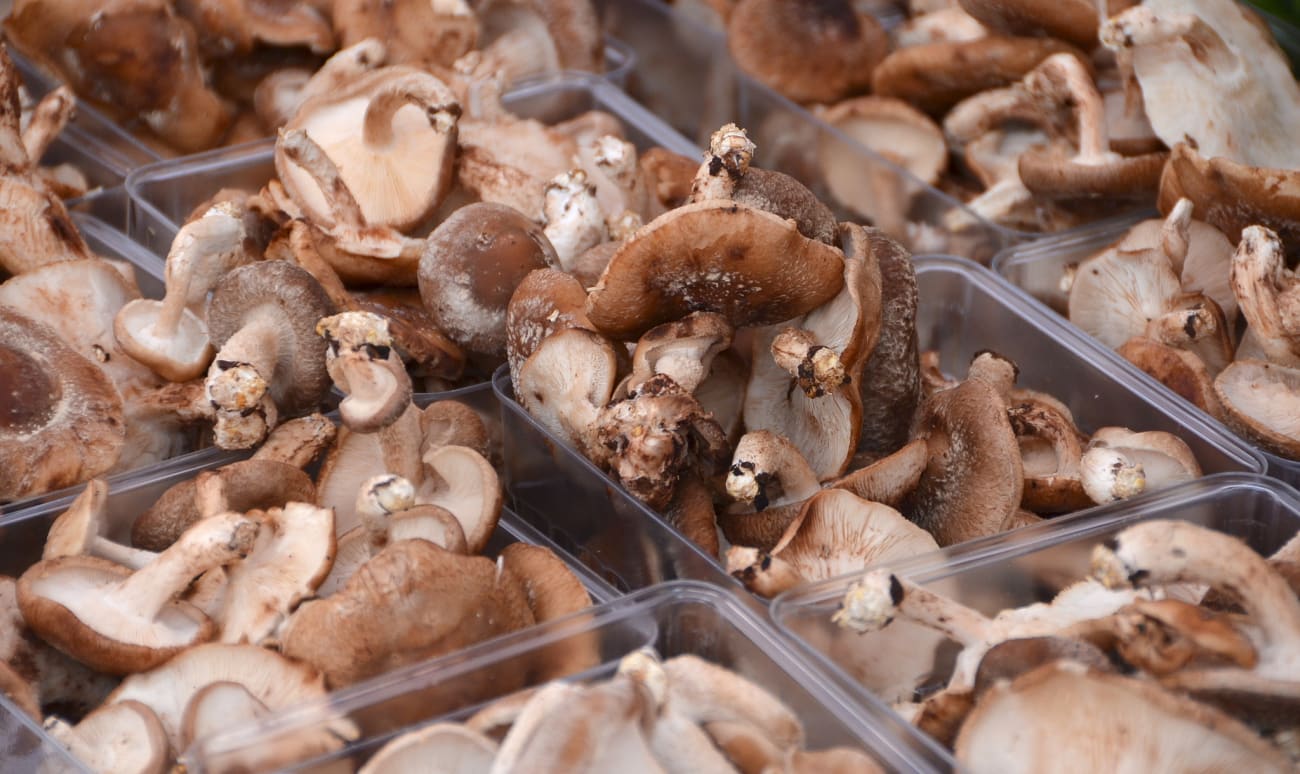 Recettes de shiitaké par Valérie du blog 1,2,3...Dégustez ! Shiitake