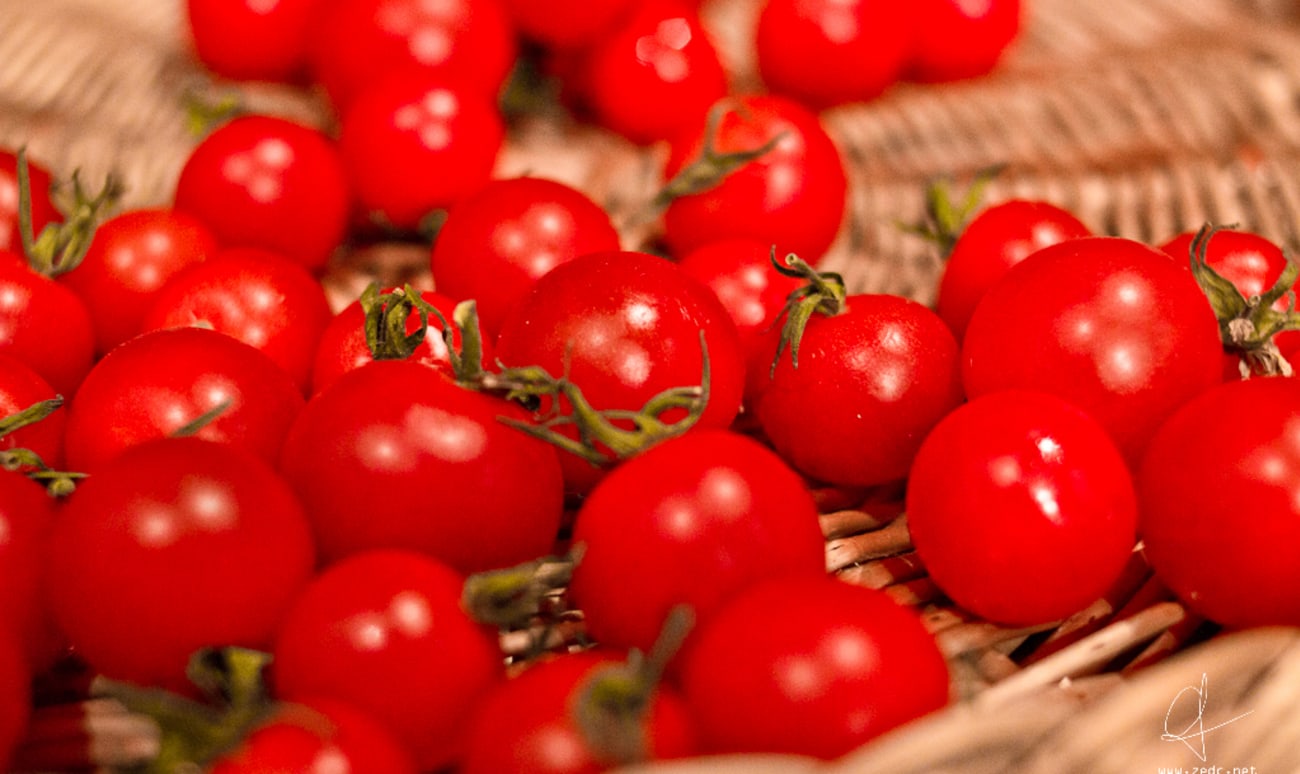 Tomates cerises