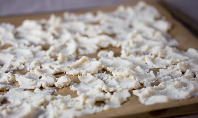 Okara avant déshydratation