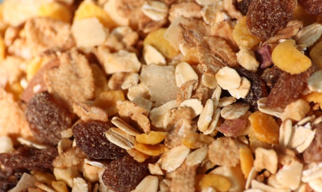 Granola à l'avoine, aux noisettes et aux graines – Brin de Sens