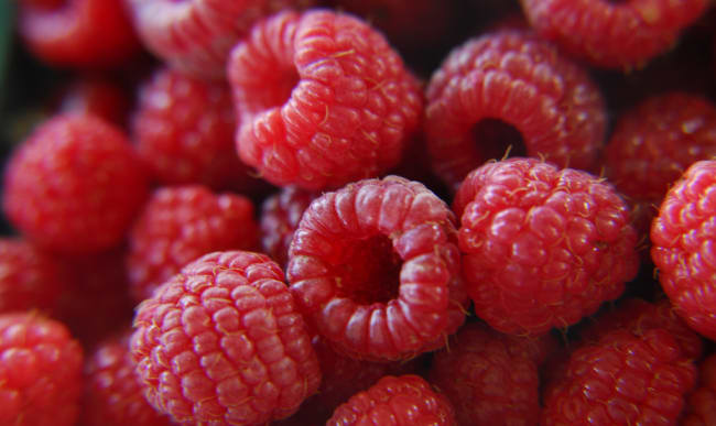 Des recettes avec des framboises bien parfumées (framboisier, sorbet)