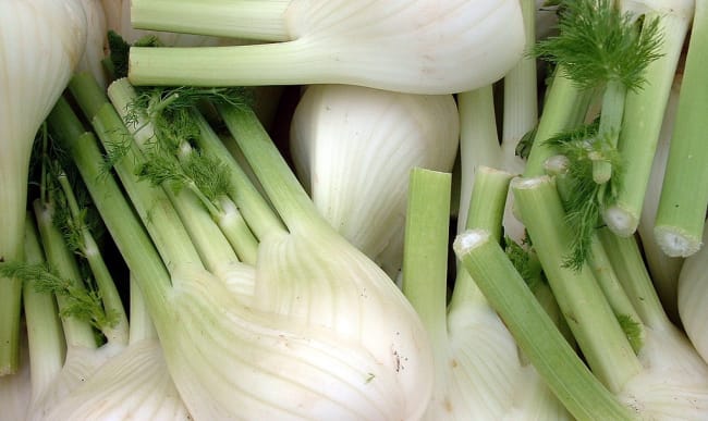 Gratine Braise Ou Servi En Salade Testez Nos Plus Belles Recettes De Fenouil Sans Plus Tarder Gratine Braise Ou Servi En Salade Testez Nos Plus Belles Recettes De Fenouil Sans Plus Tarder