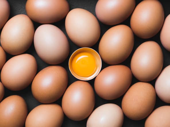 Les oeufs n'auront plus aucun secret pour vous !