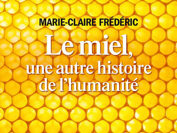 Le miel, une autre histoire de l'humanité