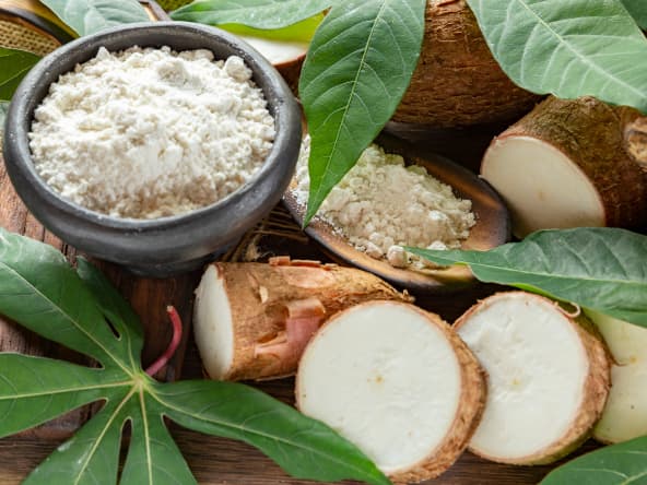 Le manioc