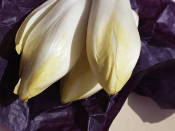 L'endive