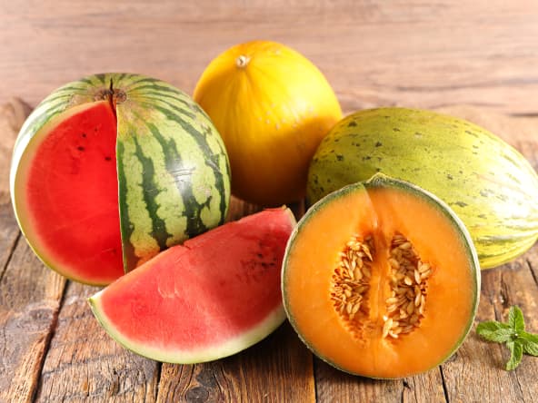 Les melons et pastèques